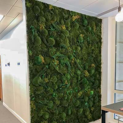 Moss Walls